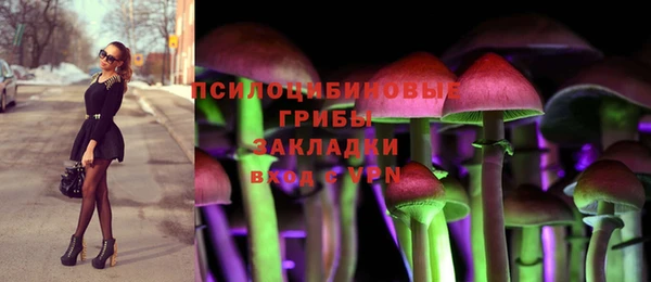спайс Алексеевка