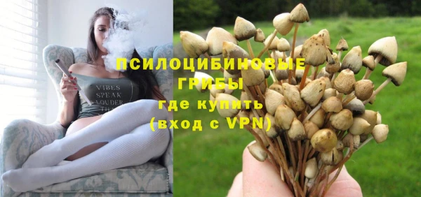 гидра Алексин